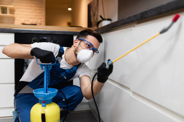 Best Termite Control Services  in Lawson Heights, PA