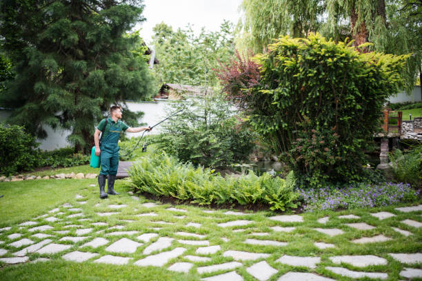 Best Exterminator Services  in Lawson Heights, PA