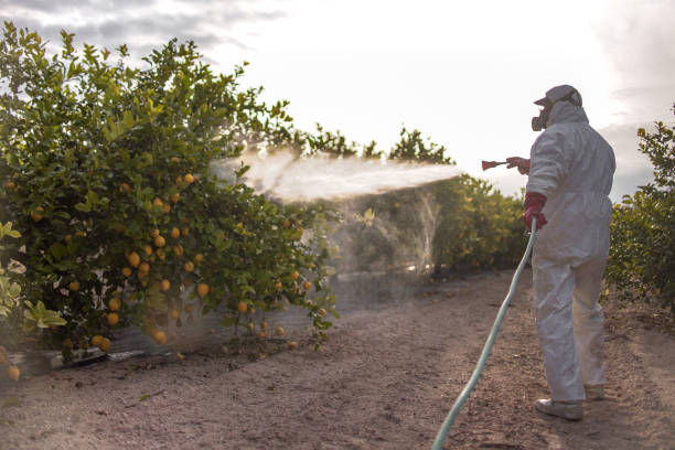 Best Best Pest Control Companies  in Lawson Heights, PA
