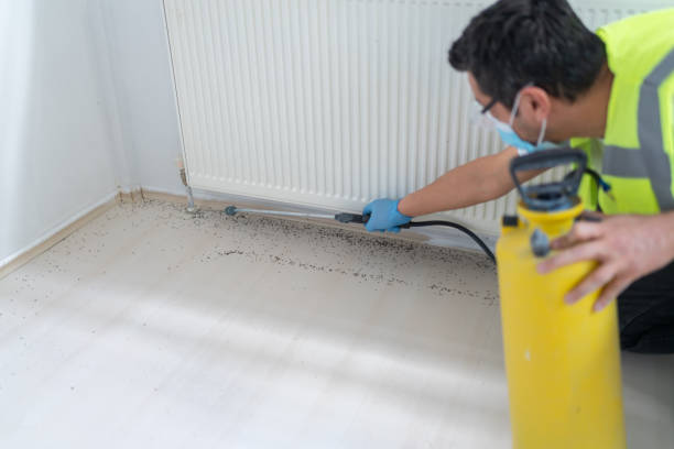 Best Insect Control  in Lawson Heights, PA