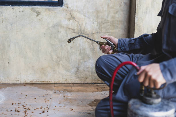 Best Best Pest Control Companies  in Lawson Heights, PA
